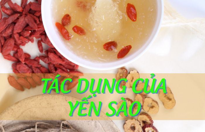 tac-dung-cua-yen-sao